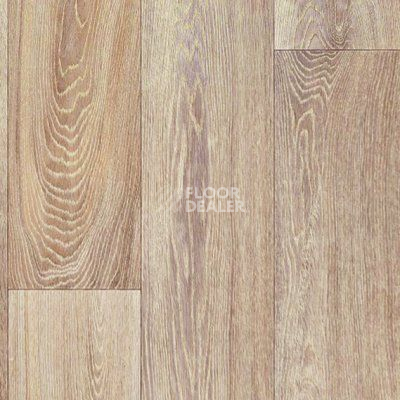 Линолеум Juteks Stars PURE OAK 1 фото 1 | FLOORDEALER